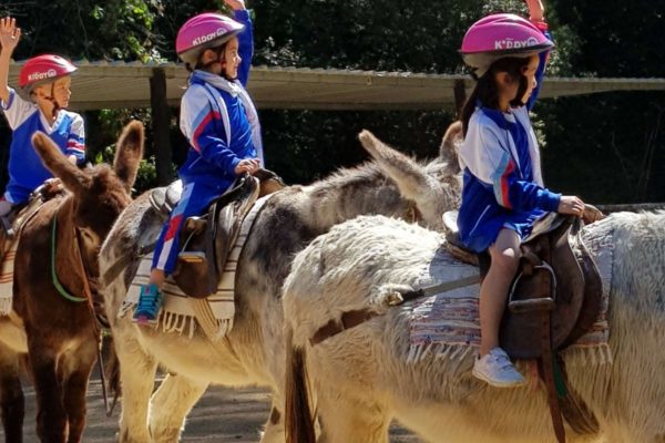 20190514_113434-1200x1600