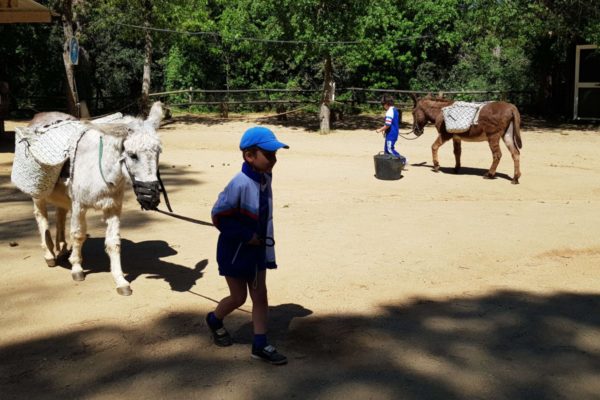 20190514_113903-1200x900