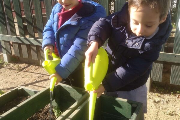 IMG_20190222_102701_206-1200x1600