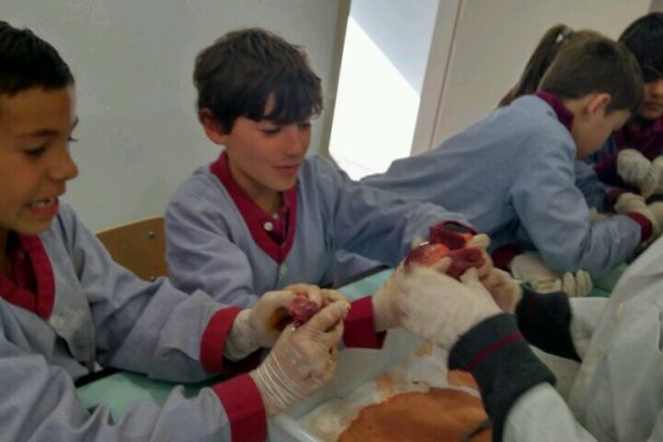 IMG_20190312_161411_HDR IMG_20190312_161411_HDR