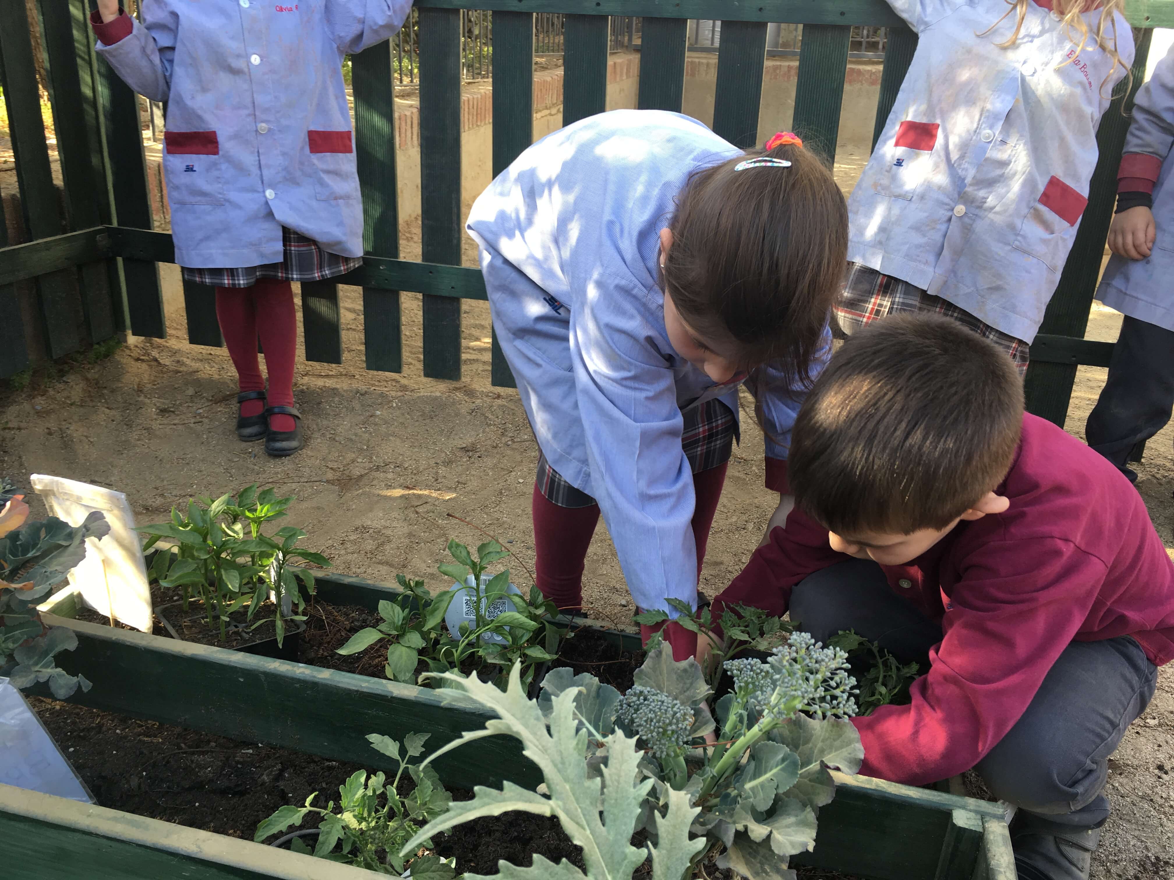 Visita al huerto del colegio
