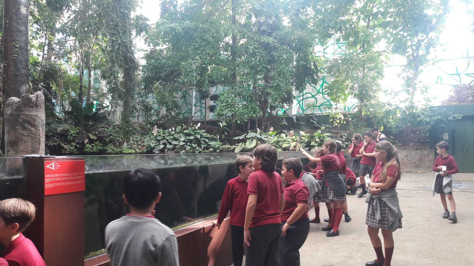 5è EP visita al Cosmocaixa