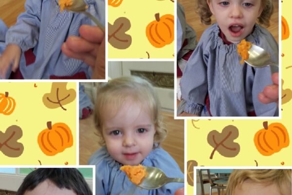 CollageMaker_20191031_144336180 (1)