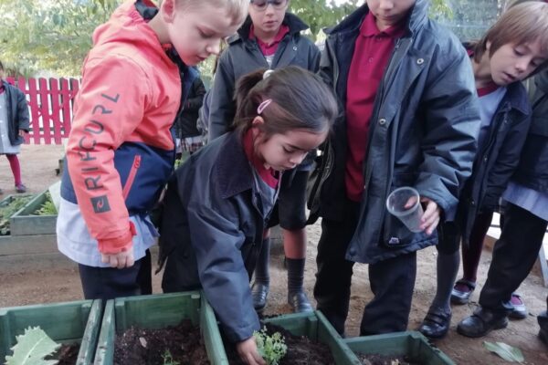 08101948-16fe-43ec-b245-feefb7c4c089