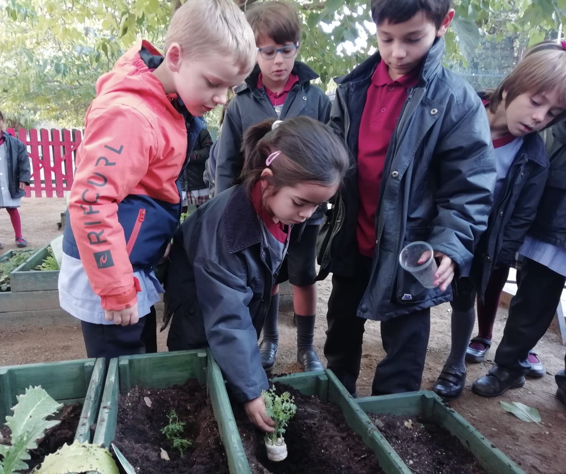 Primer de Primària visita l’hort de l’escola acompanyats dels alumnes de P5