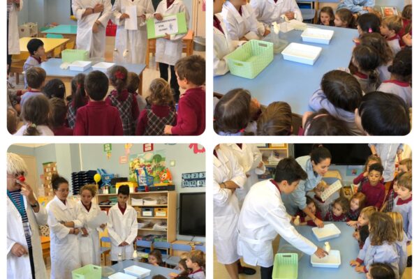 597249dc-d201-4145-970e-e2a78fc4eff3 (1)