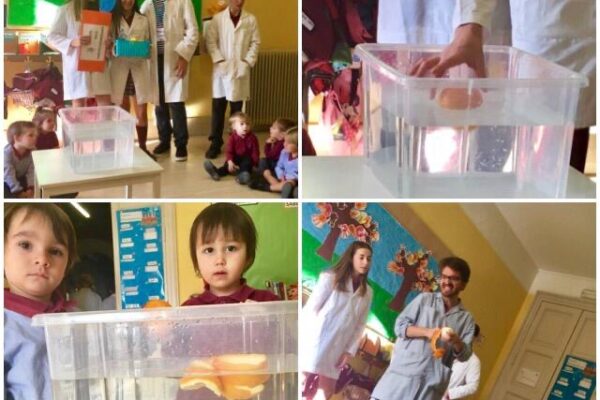 ec226c10-d11c-4746-991a-ba8483e61d06 (1)