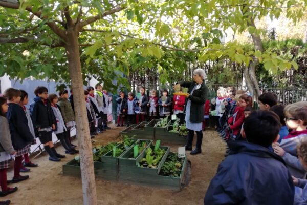 efce4d45-d55c-4f88-9d9c-13a942de7af1