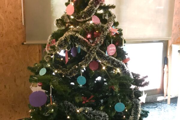 IMG_9334 (1) IMG_9334 (1)