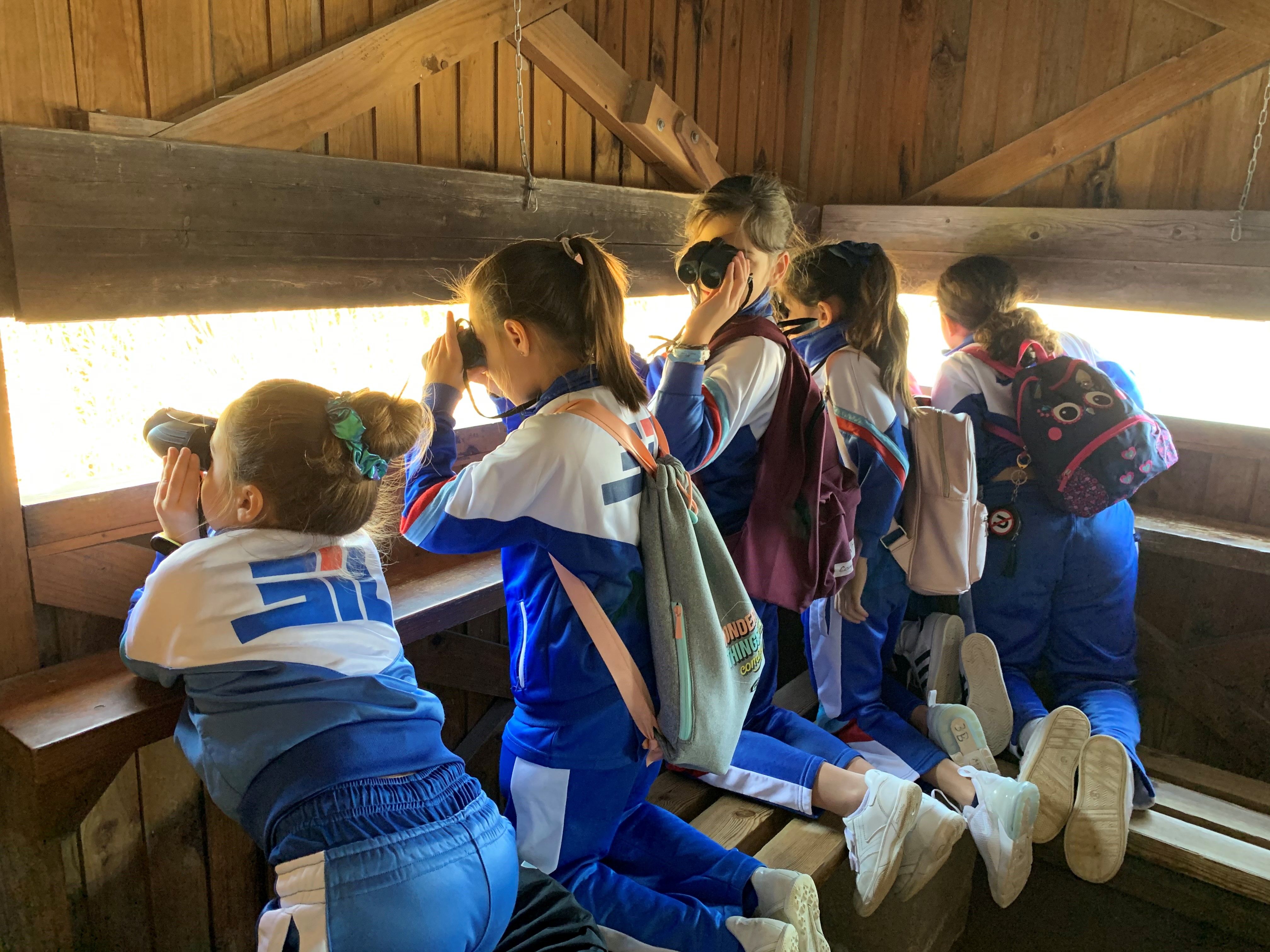 Sortida al Delta del Llobregat