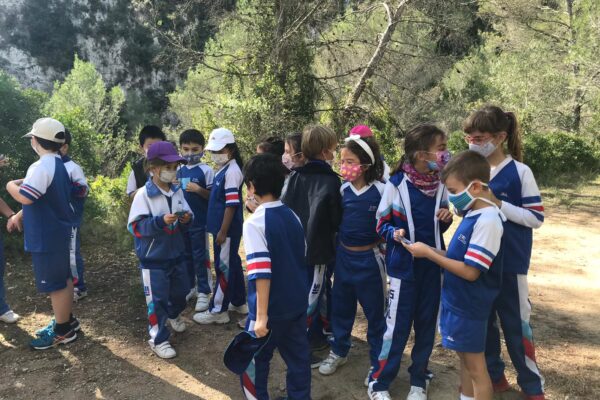 f4a762ae-ed76-451f-9742-8da0da439e3d f4a762ae-ed76-451f-9742-8da0da439e3d