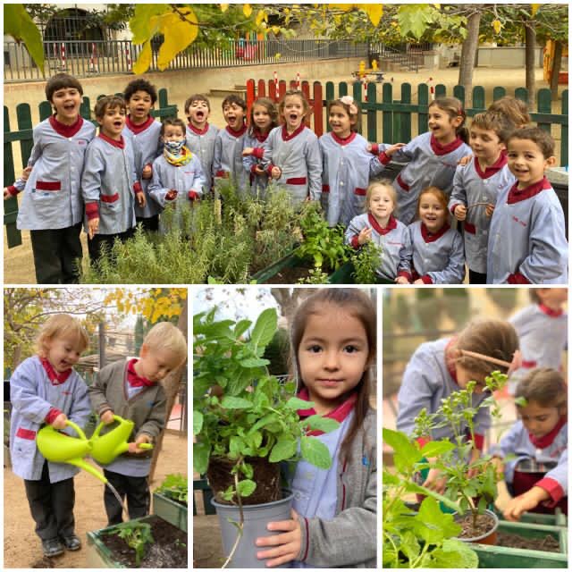 Cuidamos el huerto del colegio