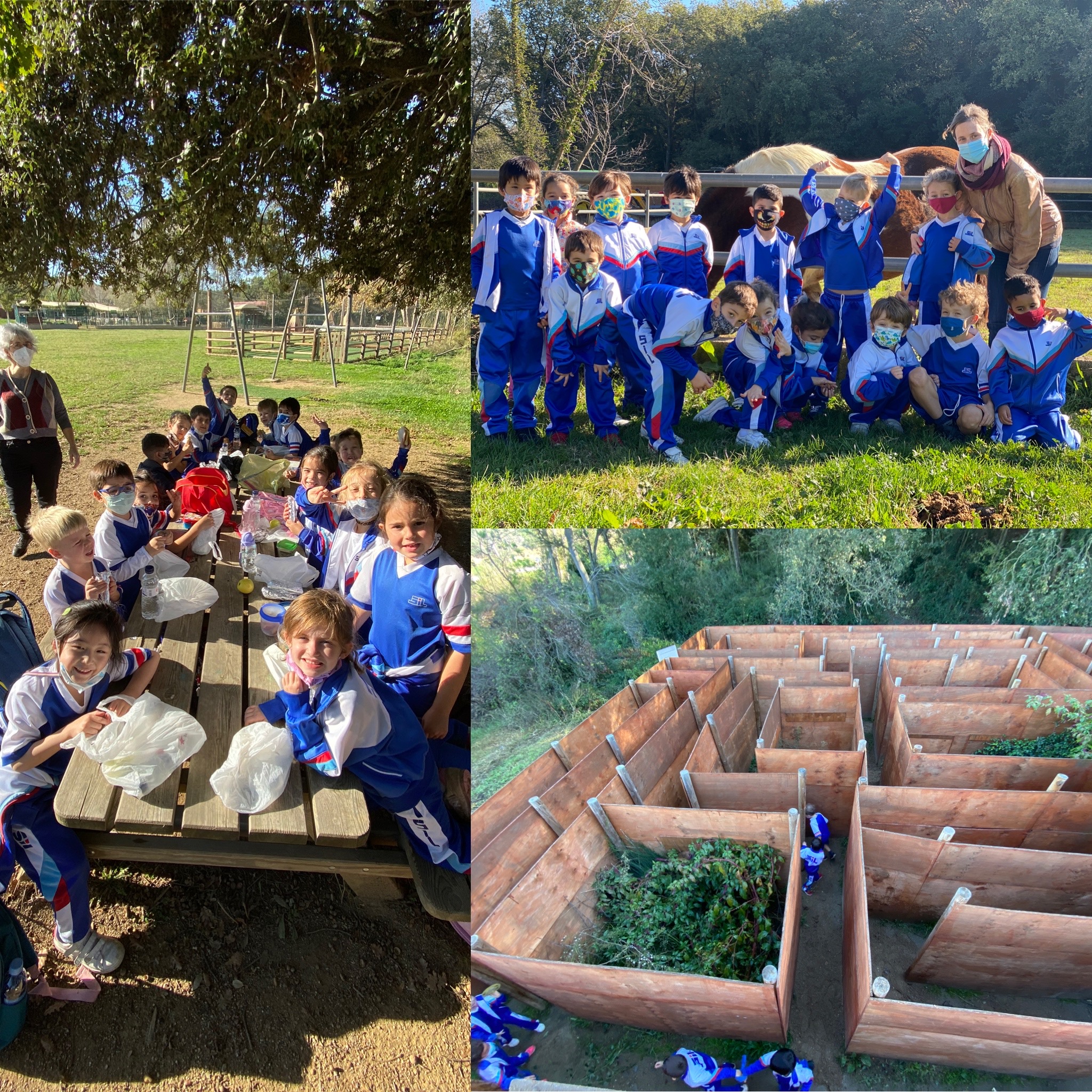 1º EP visita » La granja «