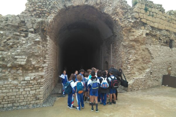 IMG_20181107_130649_974