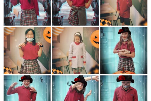 Screenshot_20201030-125209-COLLAGE