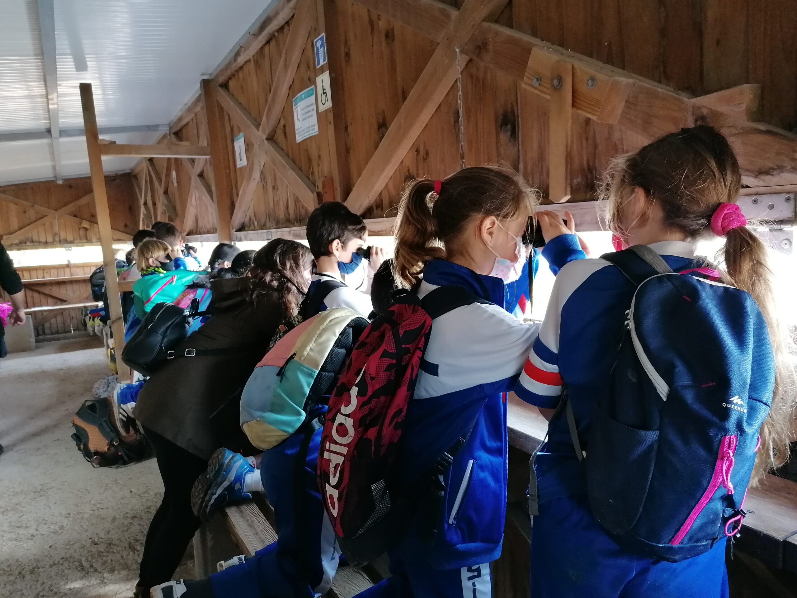 Sortida 3r al Delta del llobregat