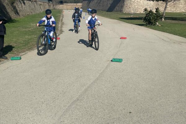 cba0a38e-ca85-449e-8b04-d7002cd92bef-0